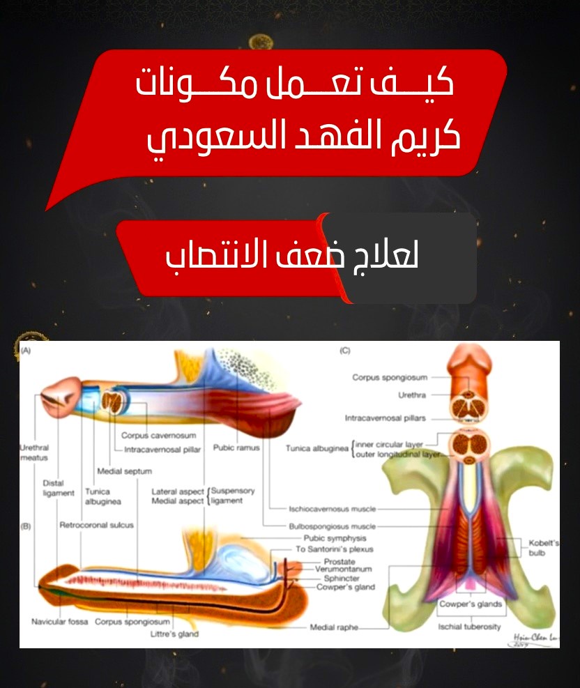 كريم الفهد السعودي - صورة 15