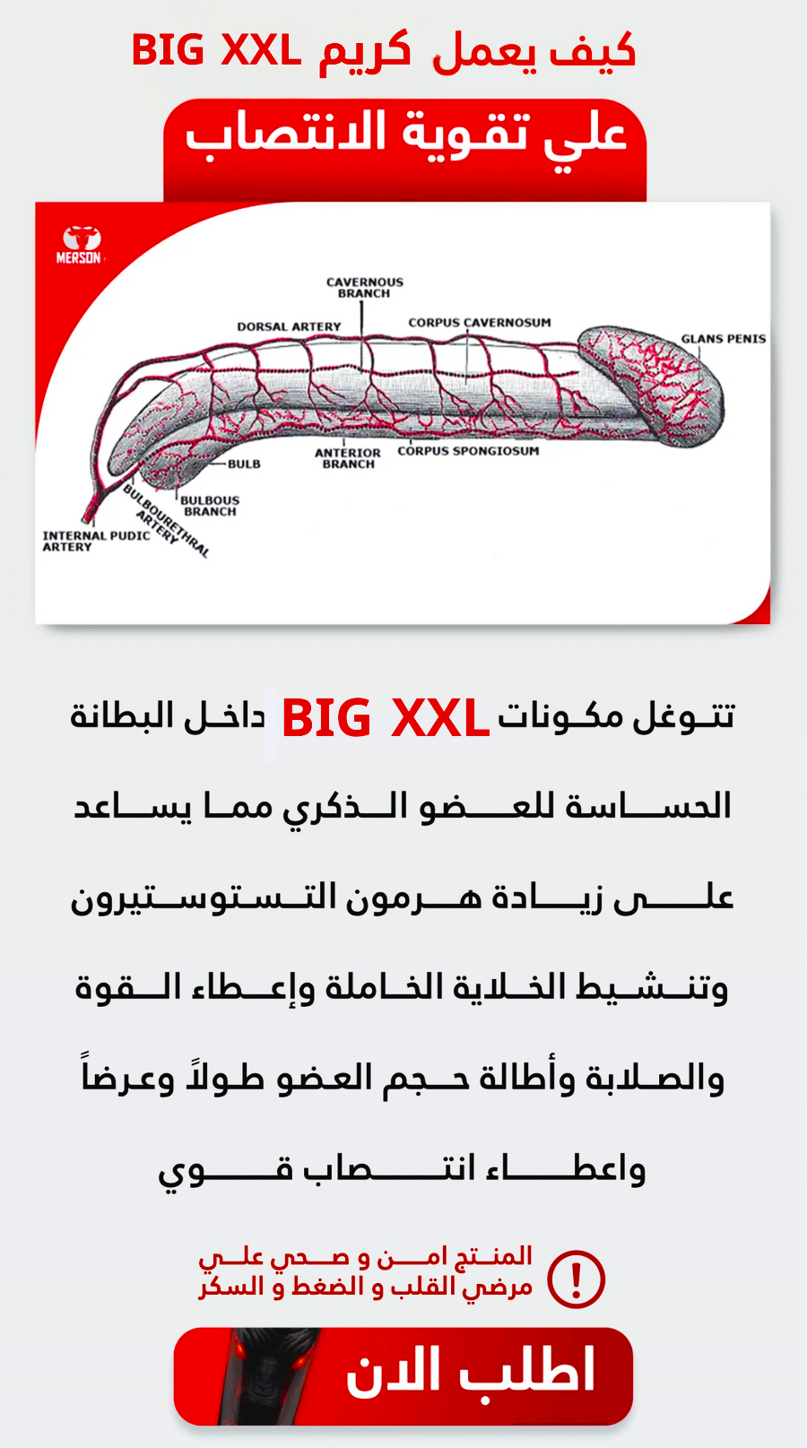 كـريـم BIG XXL - صورة 4