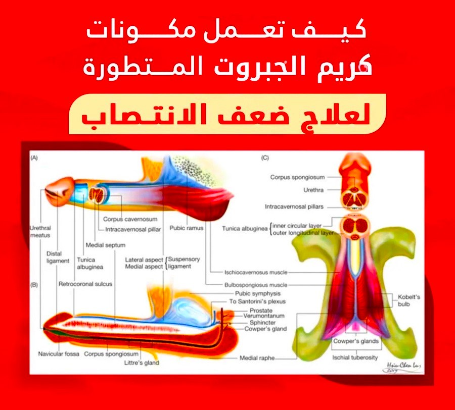 كـريم الجبروت السعودي - صورة 6