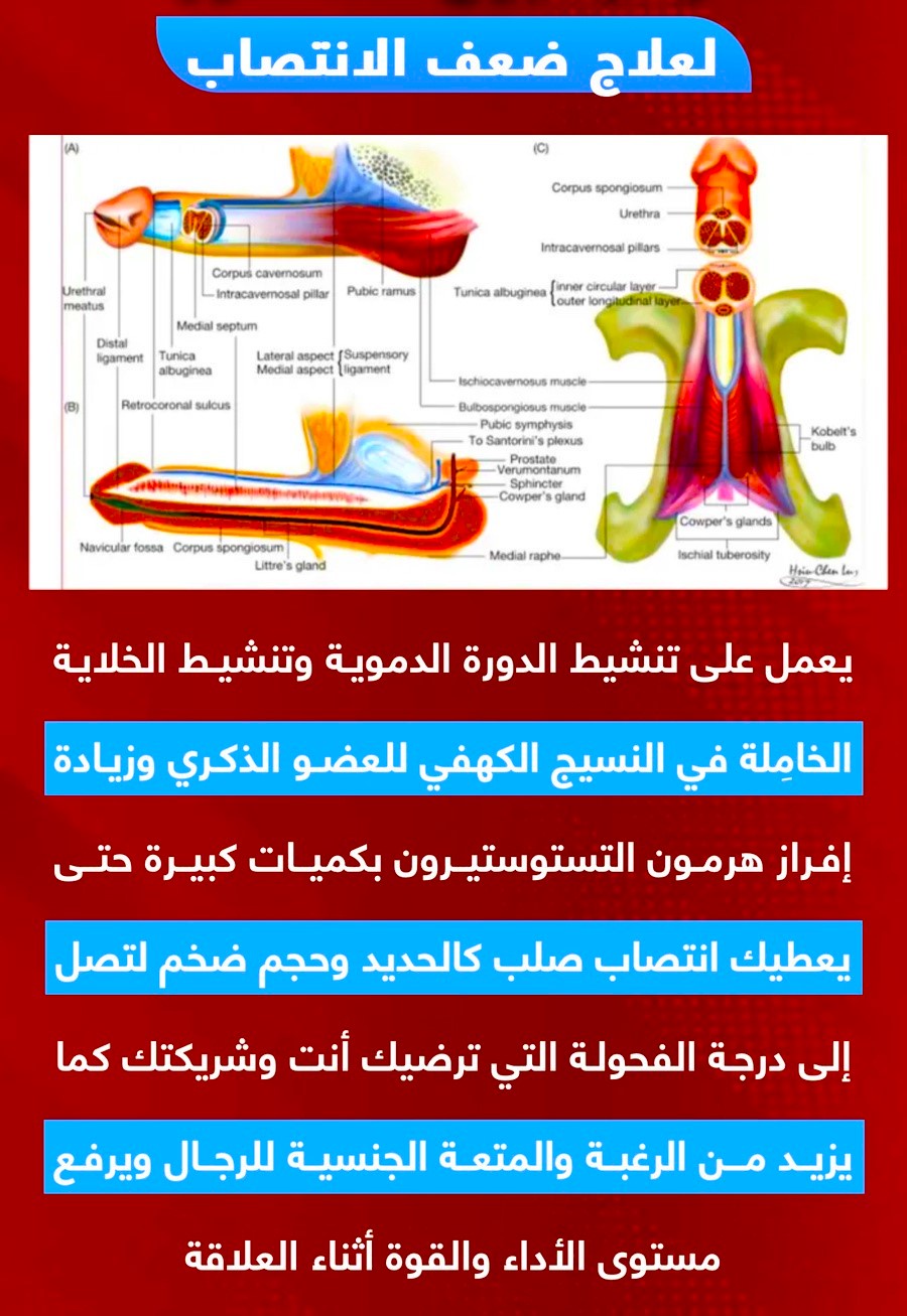 كــريــم الإفـريقـي XXXL - صورة 4